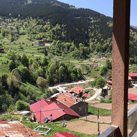 Uzungol Comfort Residence Εξωτερικό φωτογραφία