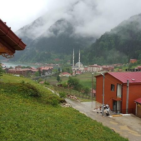 Uzungol Comfort Residence Εξωτερικό φωτογραφία